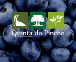 Quinta-do-Pincho